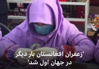 Afghan Saffron once again won the three-gold award from the International Institute of Taste by winning the first place.
