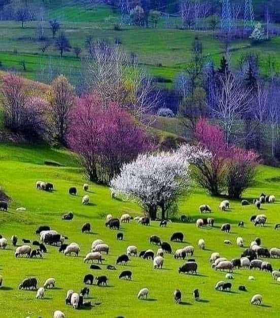 Nowruz and spring are coming again and it brings freshness and vitality to everyone